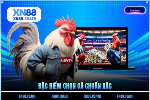 Đặc điểm chọn gà chuẩn xác